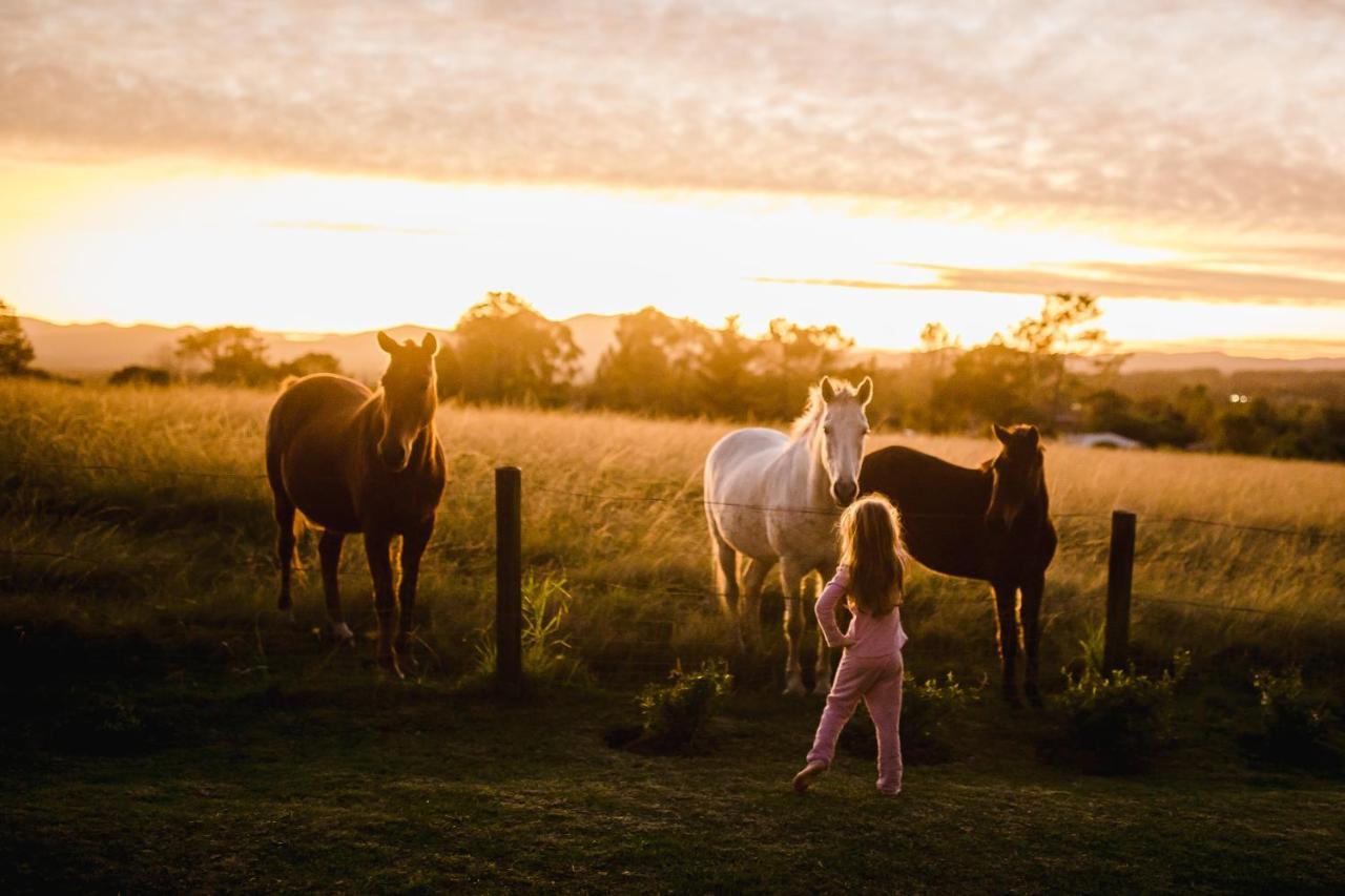 Fernhill Guest Farm Cottages Knysna Exterior foto