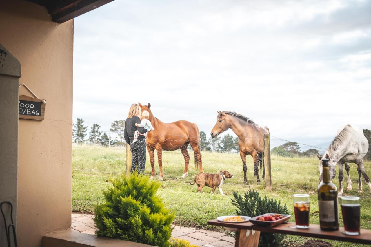 Fernhill Guest Farm Cottages Knysna Exterior foto