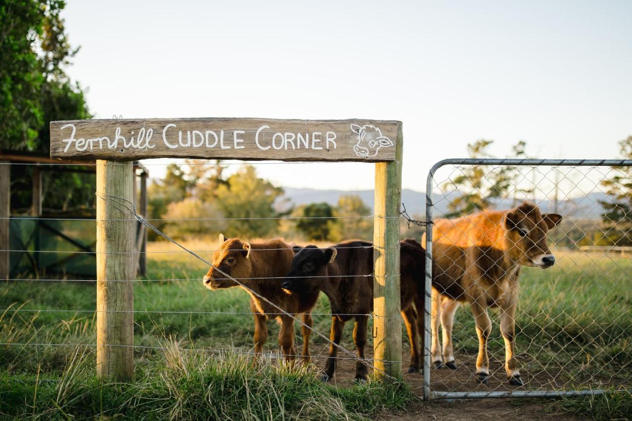 Fernhill Guest Farm Cottages Knysna Exterior foto