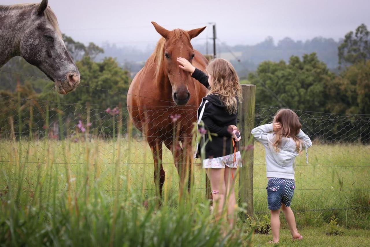 Fernhill Guest Farm Cottages Knysna Exterior foto