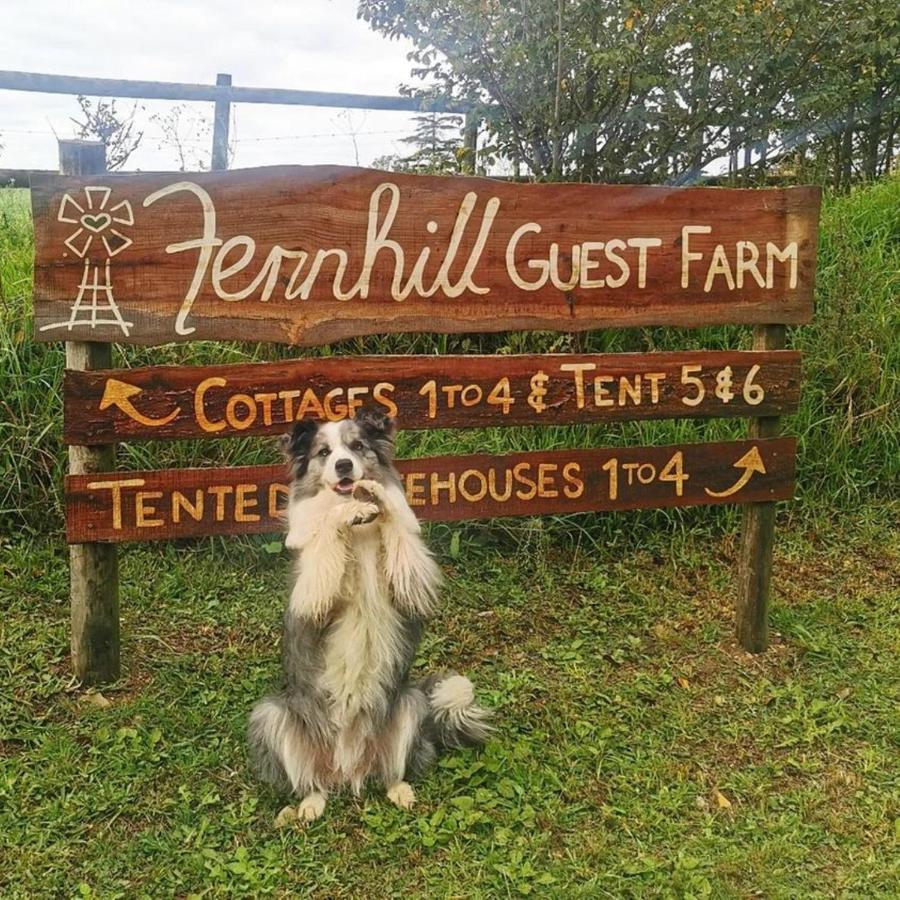 Fernhill Guest Farm Cottages Knysna Exterior foto